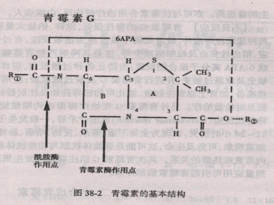 β内酰胺类抗生素课件_第2页