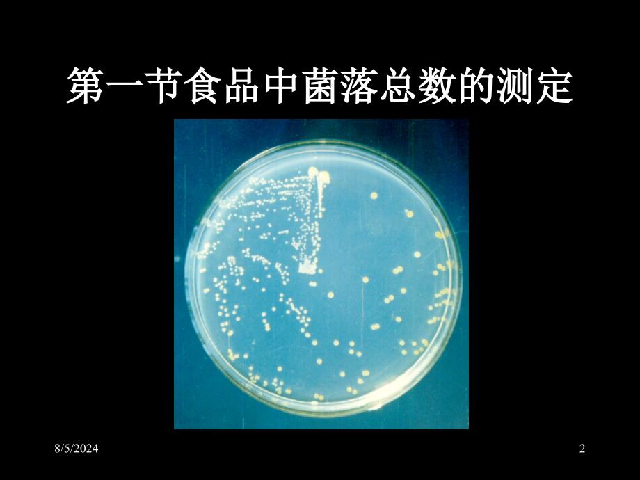 食品微生物课件第四章食品中的细菌及其检测_第2页