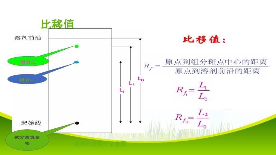 薄层色谱鉴别介绍_第5页