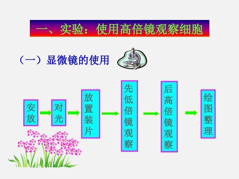 《细胞的多样性和统一性》PPT课件66-人教课标版_第5页