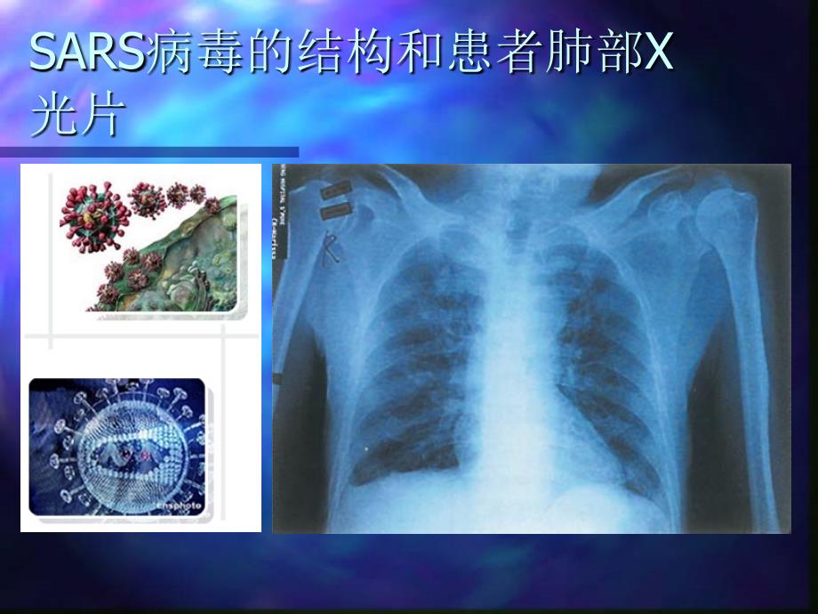 第一节从生物圈到细胞课件邱娟_第3页