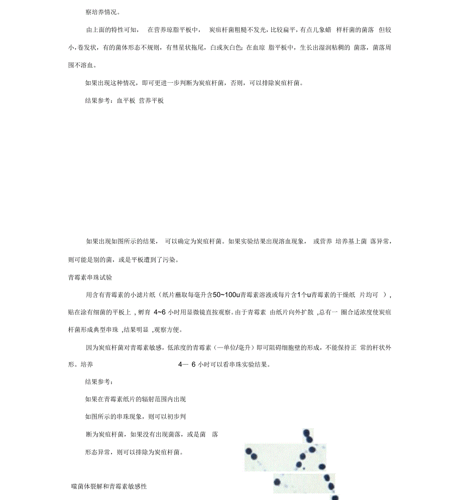 炭疽杆菌快速鉴定_第4页