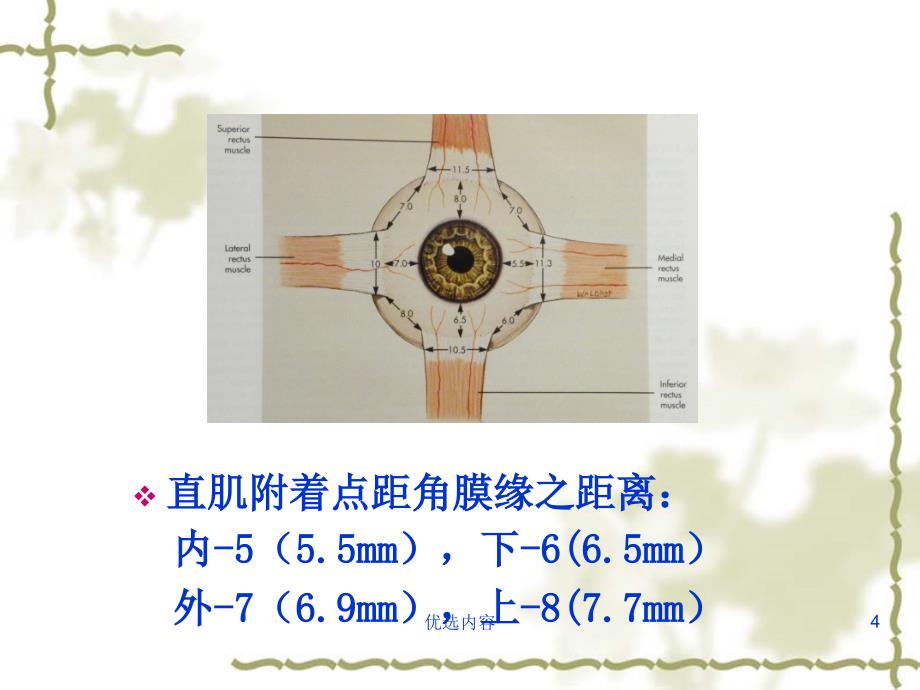 眼肌检查法-斜视检查【特选材料】_第4页