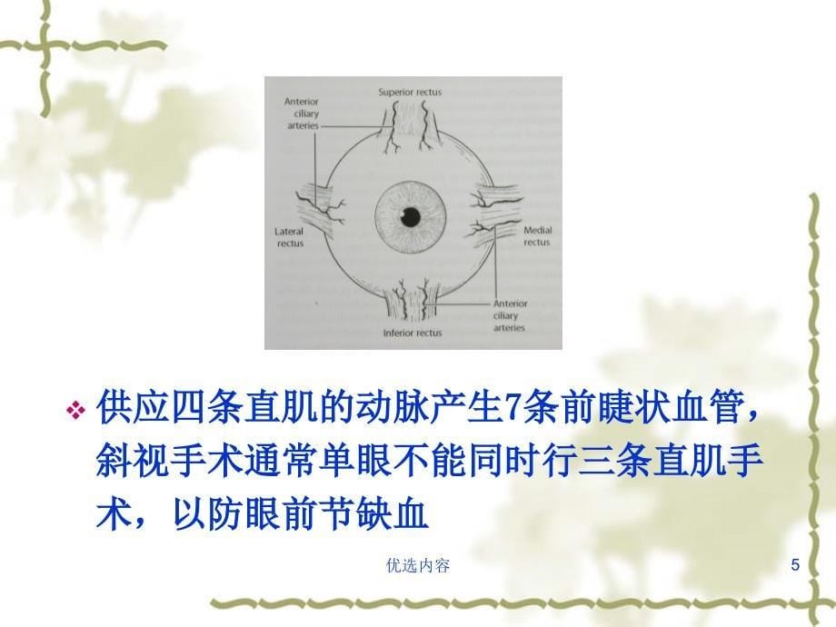 眼肌检查法-斜视检查【特选材料】_第5页