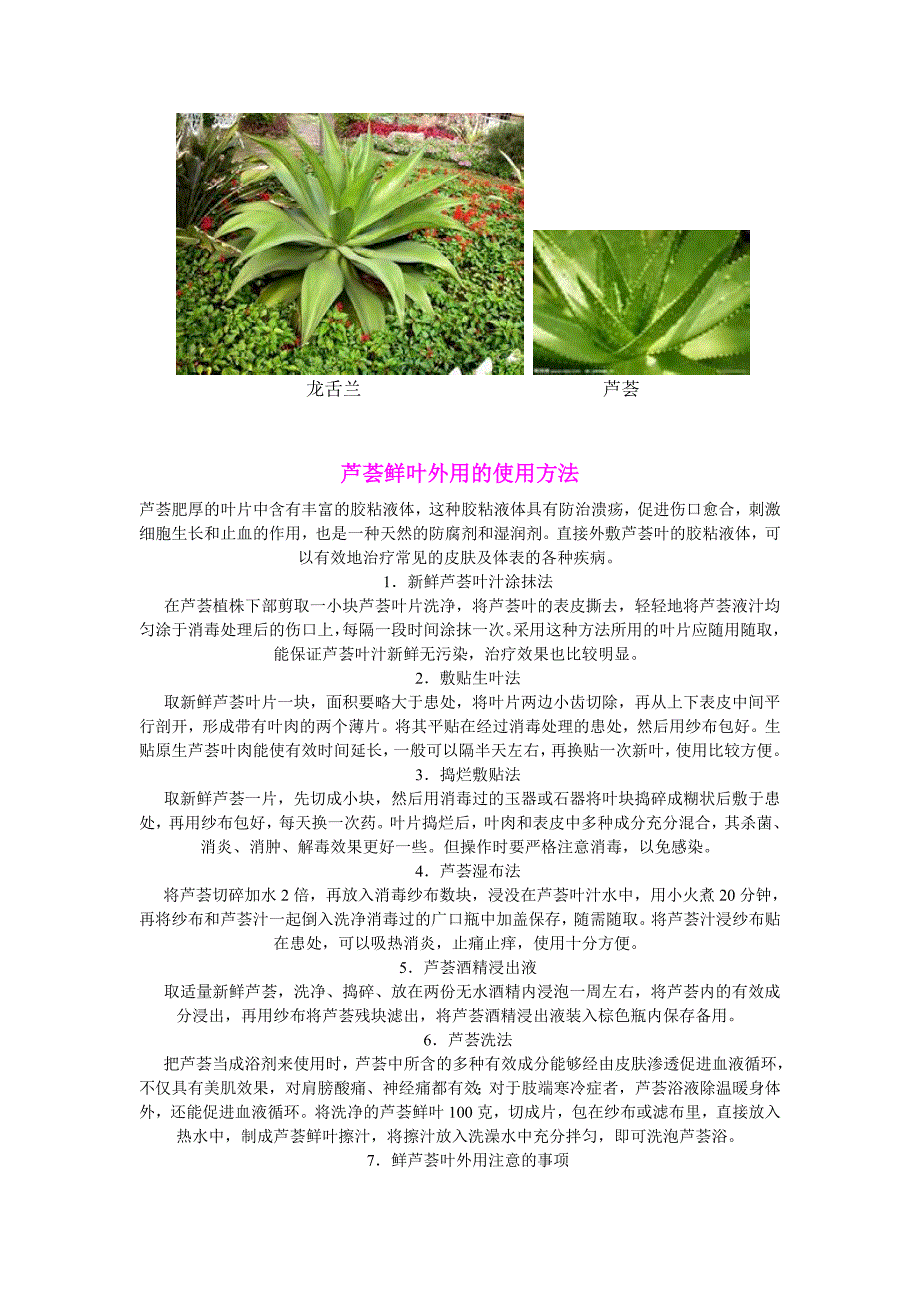 芦荟功效及鲜叶外用方法.doc_第2页