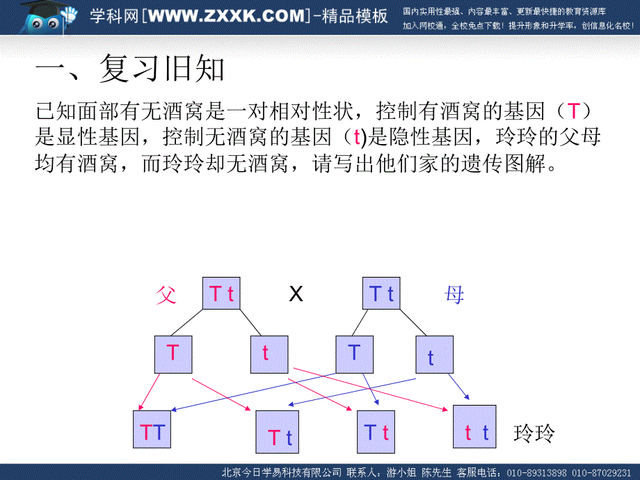 人的性别遗传_第2页