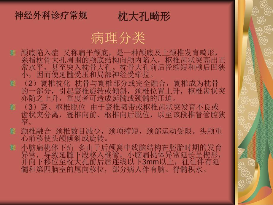 先天性疾病枕大孔畸形_第4页