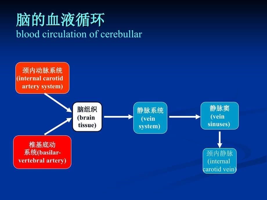 脑血管病总论及TIA_第5页