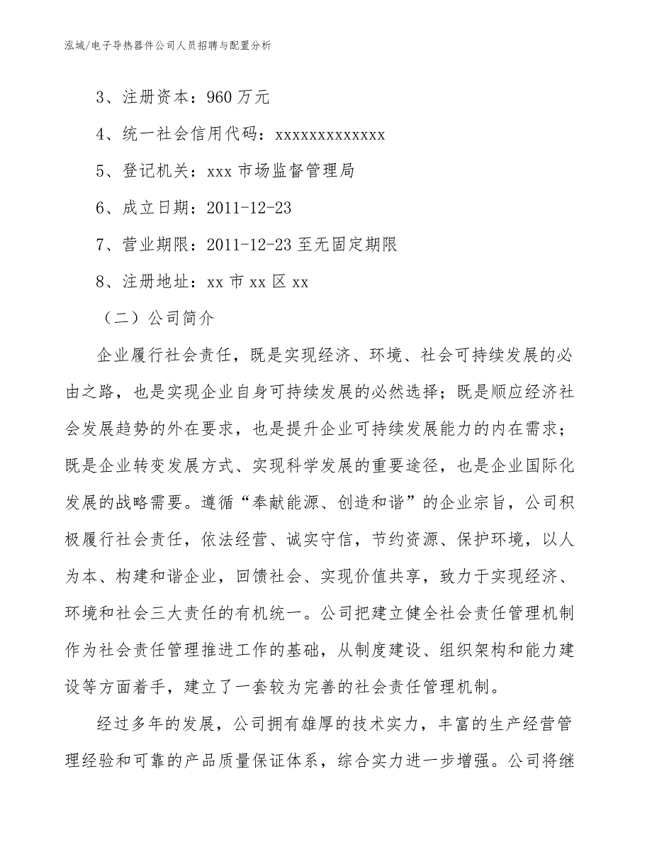 电子导热器件公司人员招聘与配置分析_范文_第2页