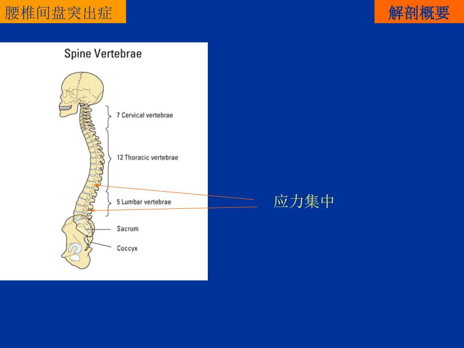 综合保守治疗腰椎间盘突出症_第3页