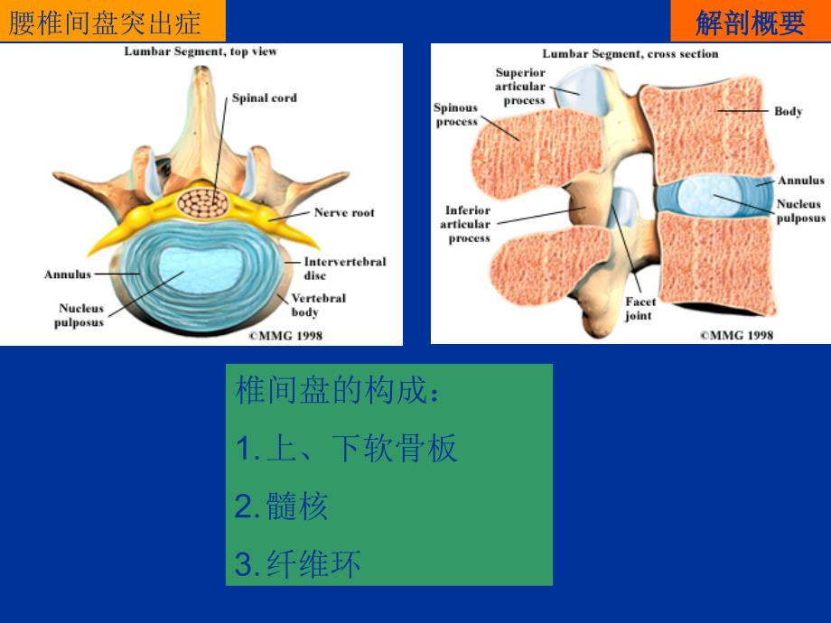 综合保守治疗腰椎间盘突出症_第4页