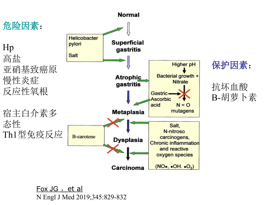 胃癌发病危险因素PPT课件_第2页