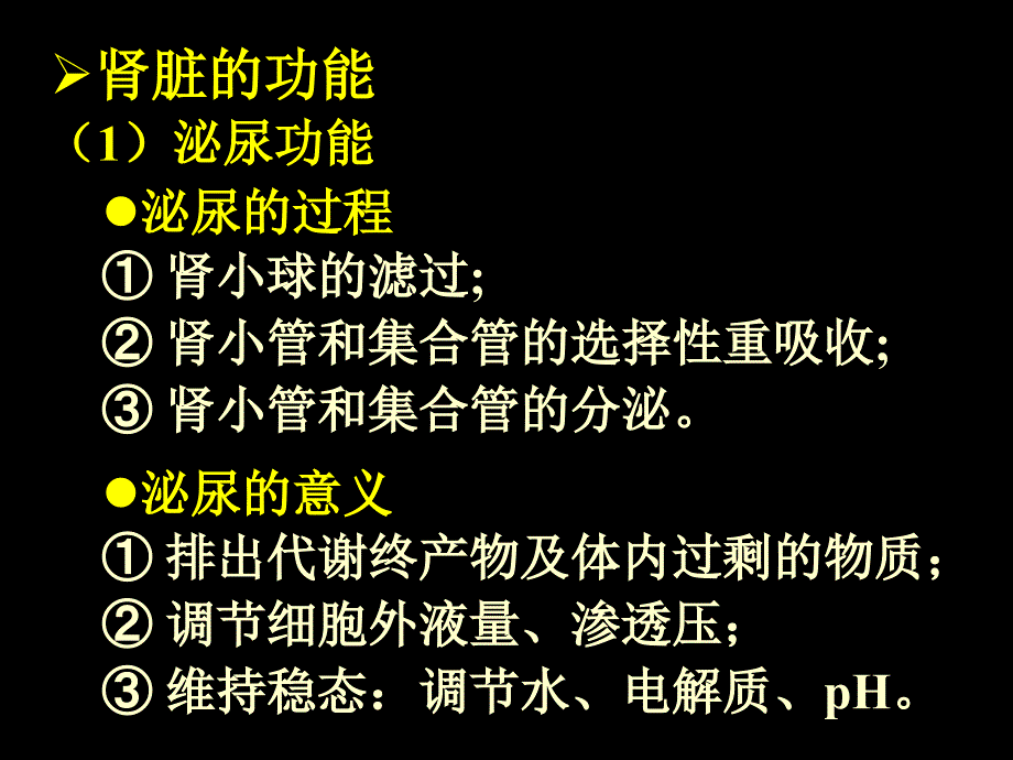 肾脏的泌尿功能尿的生成及其调节_第2页