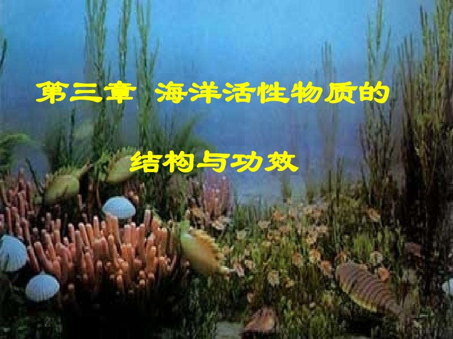 海洋生物活性物质活性多糖.ppt_第1页