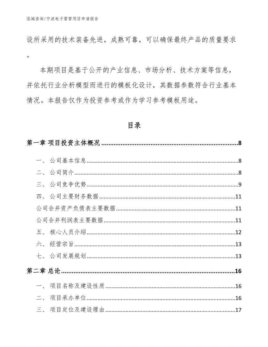 宁波电子雷管项目申请报告_第2页