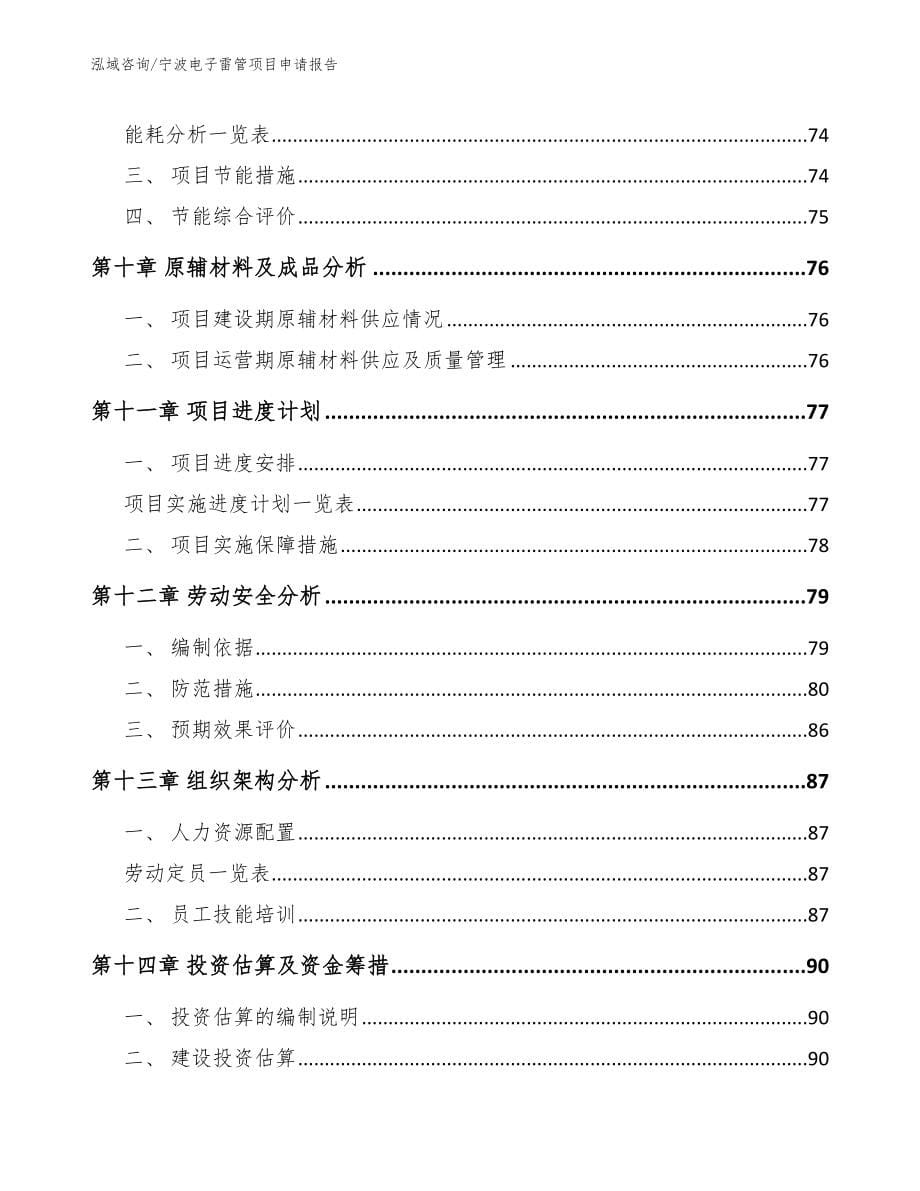 宁波电子雷管项目申请报告_第5页