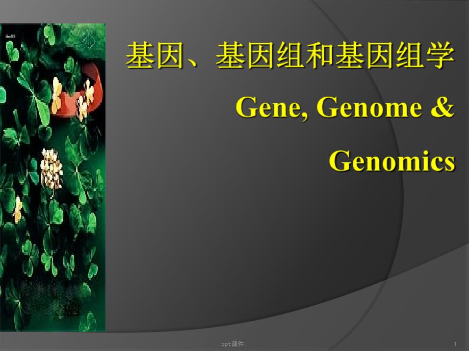 基因基因组和基因组学ppt课件_第1页