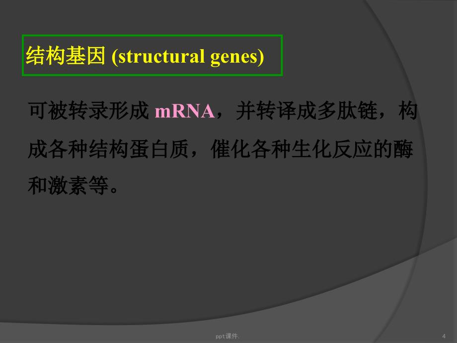 基因基因组和基因组学ppt课件_第4页