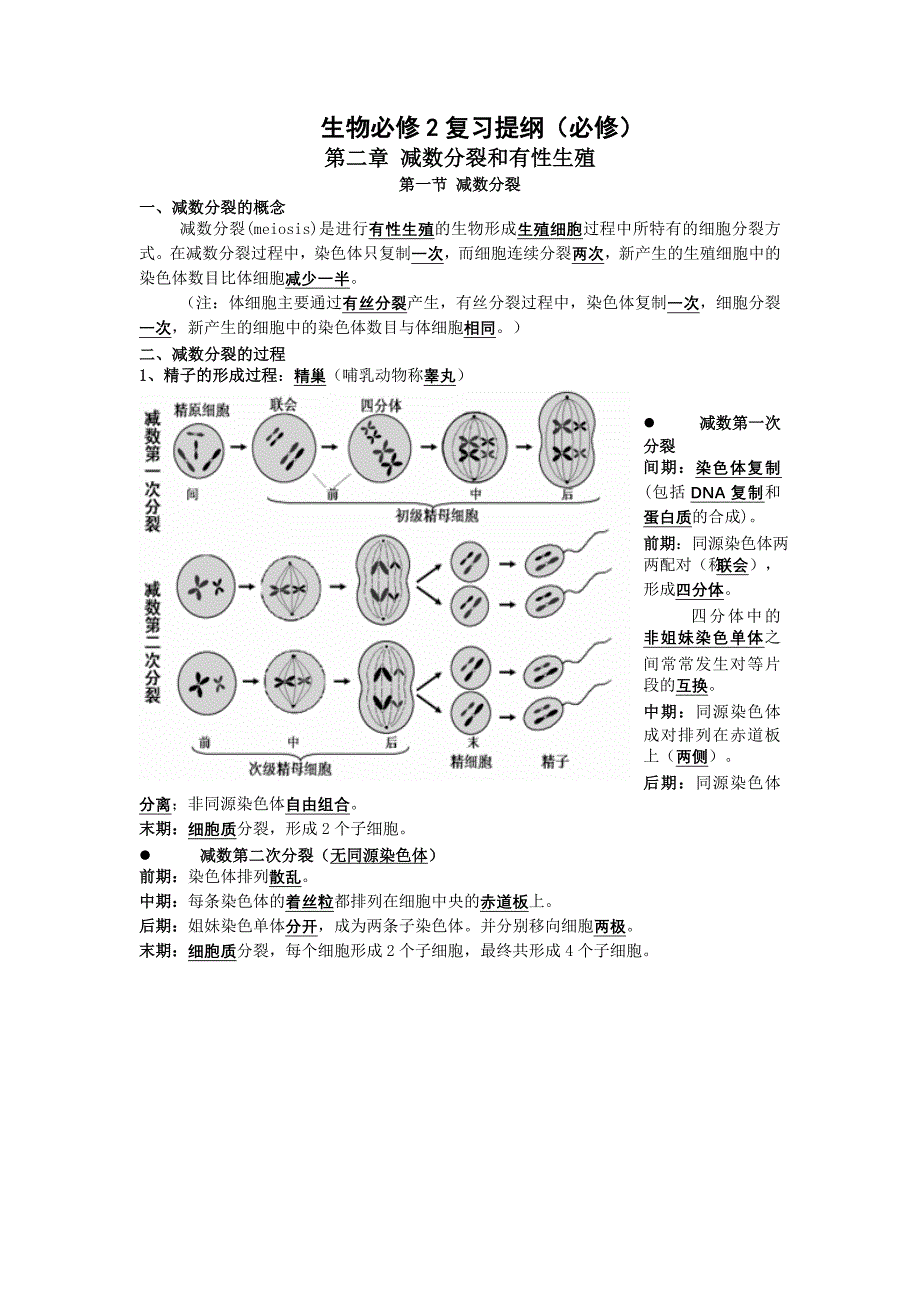 生物必修2复习提纲.doc_第1页