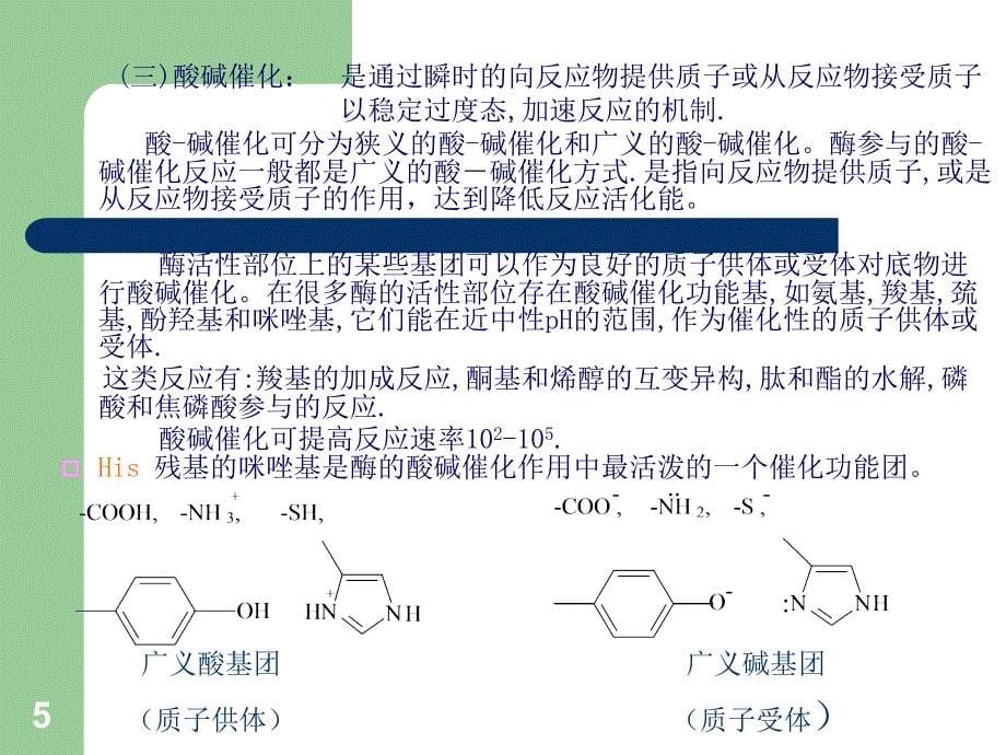 酶的作用机制和酶的调节_第5页