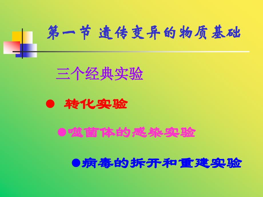 微生物的遗传变异和育种课件ppt_第3页