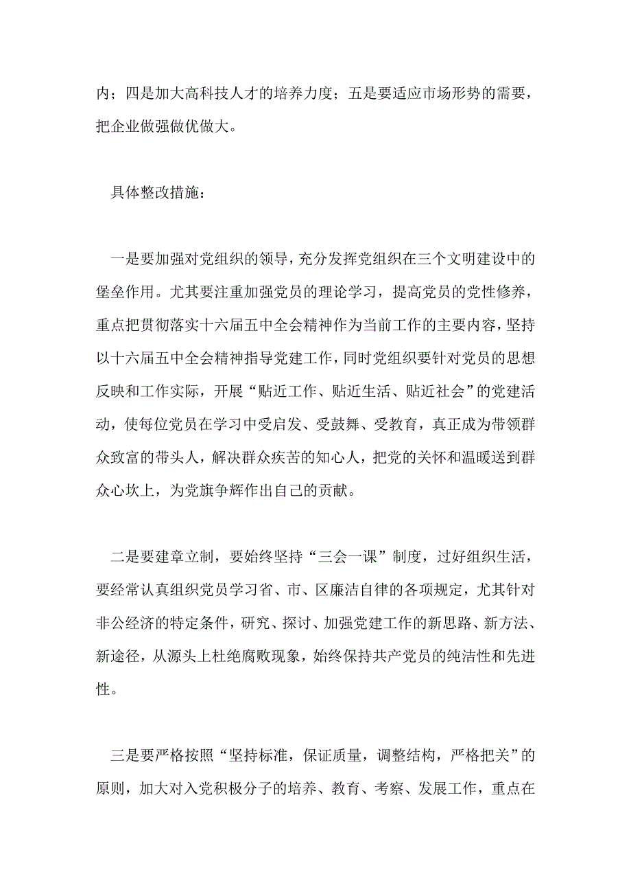 支部委员会整改意见_第2页