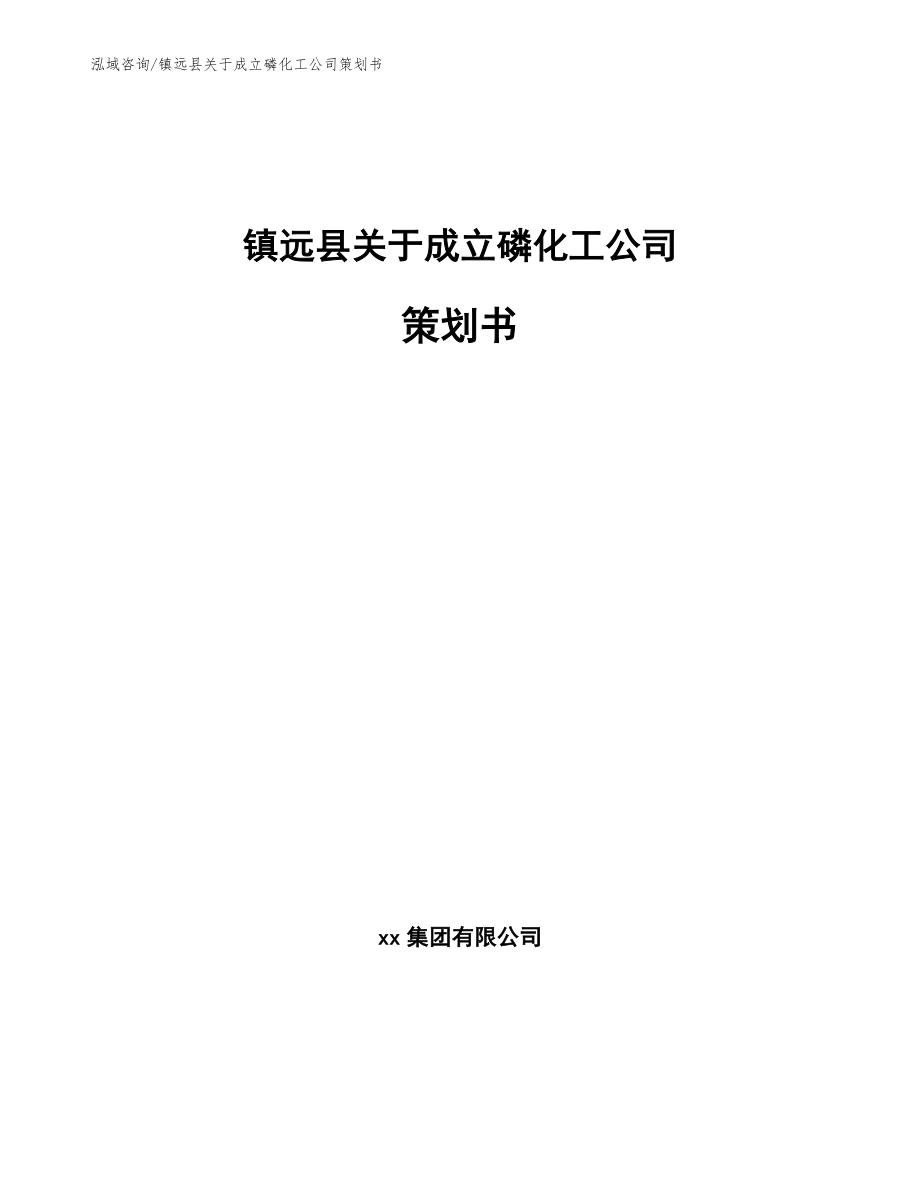 镇远县关于成立磷化工公司策划书_模板范文_第1页