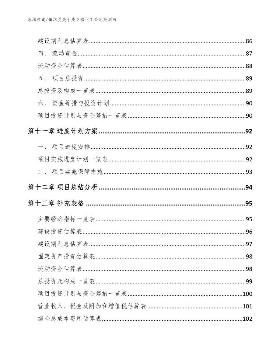 镇远县关于成立磷化工公司策划书_模板范文_第5页