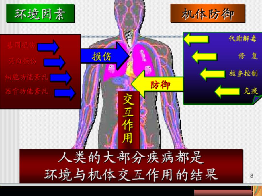 最新化学毒物的免疫毒性._第3页