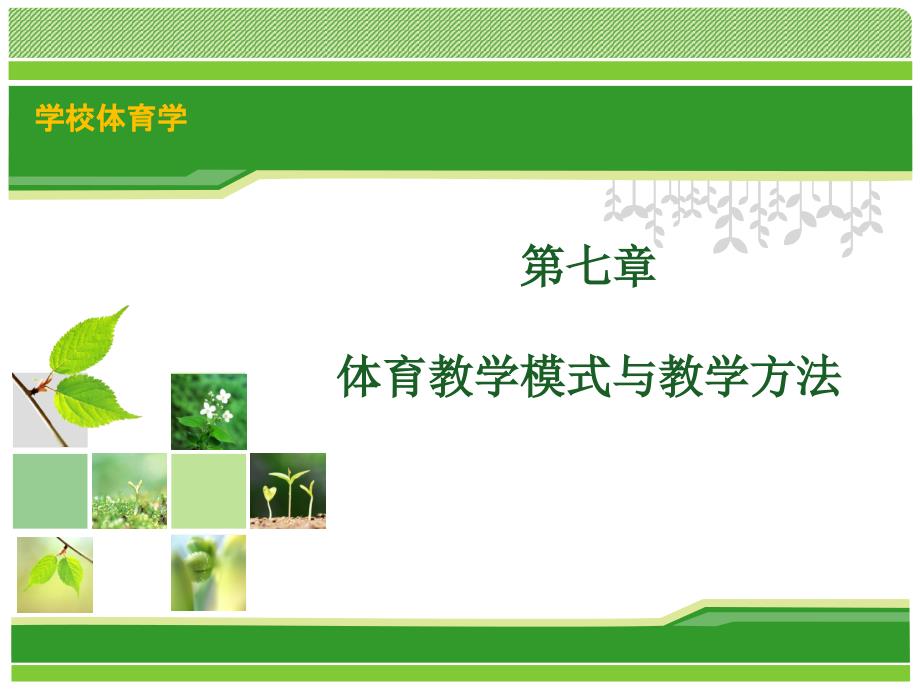 第七章体育教学模式与教学方法PPT课件_第1页