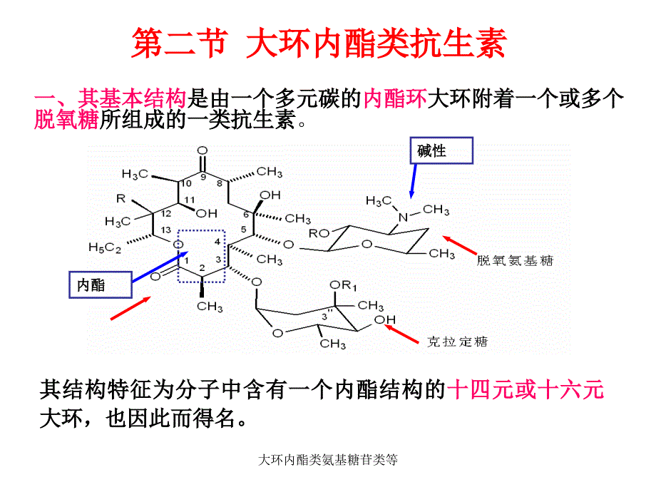 大环内酯类氨基糖苷类等课件_第2页