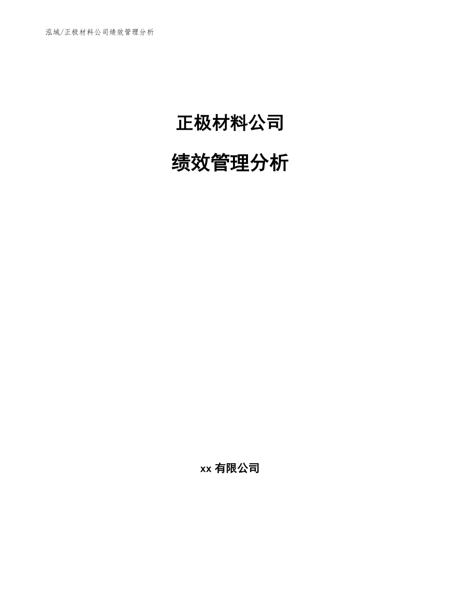 正极材料公司绩效管理分析_范文_第1页