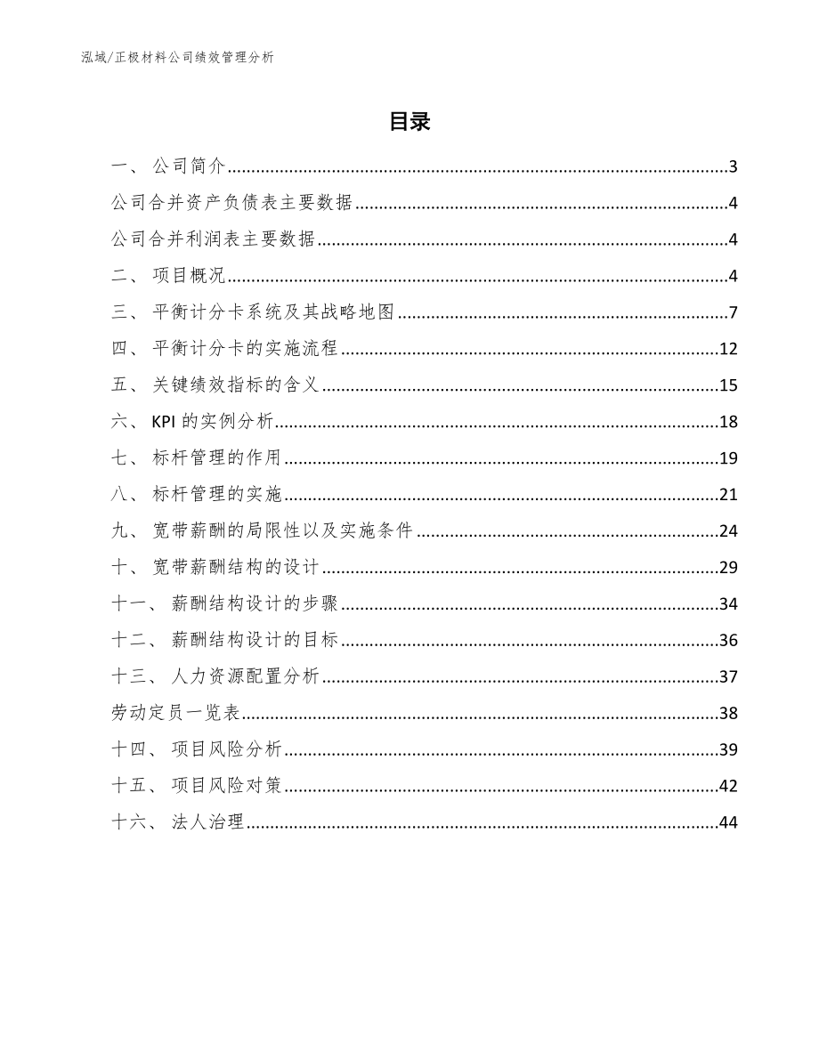 正极材料公司绩效管理分析_范文_第2页