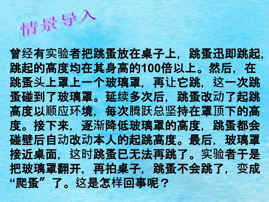 生物生物对环境的适应1ppt课件_第2页