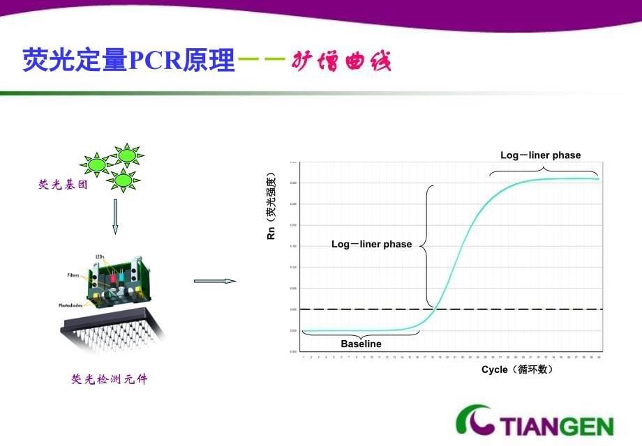 荧光定量PCR原理扩增曲线PPT课件_第5页