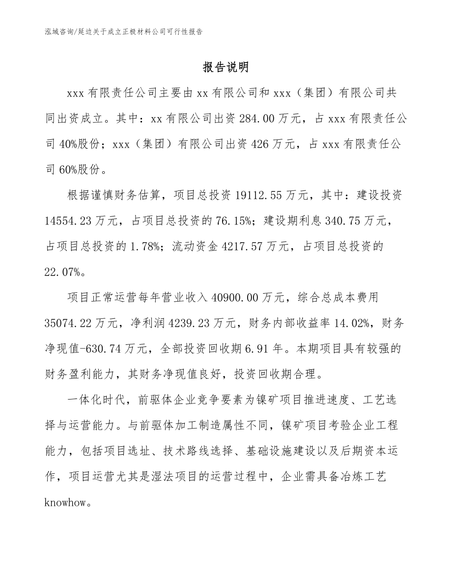 延边关于成立正极材料公司可行性报告_模板参考_第2页