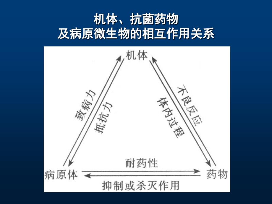 抗菌药物概论_第3页