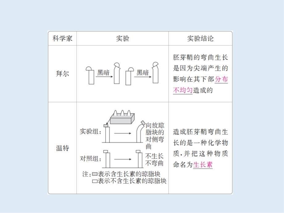 版高考生物高分计划一轮课件：第28讲　植物激素的调节 28_第5页