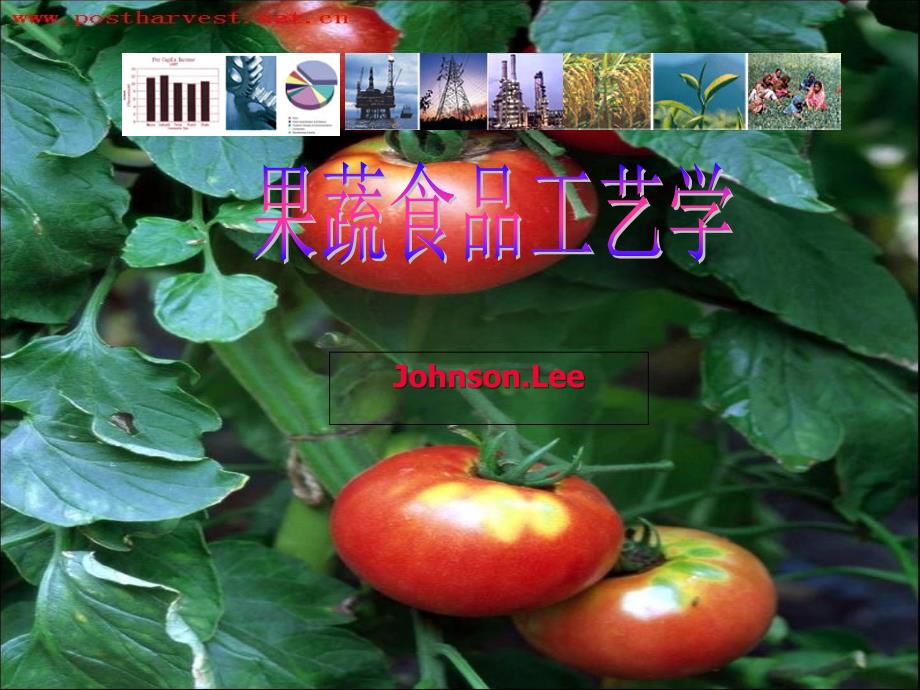果蔬食品工艺学分析_第1页