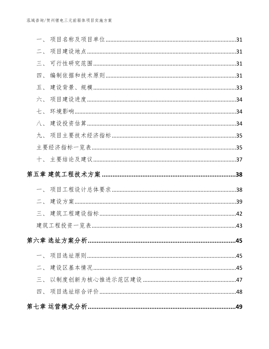 贺州锂电三元前驱体项目实施方案_模板_第2页