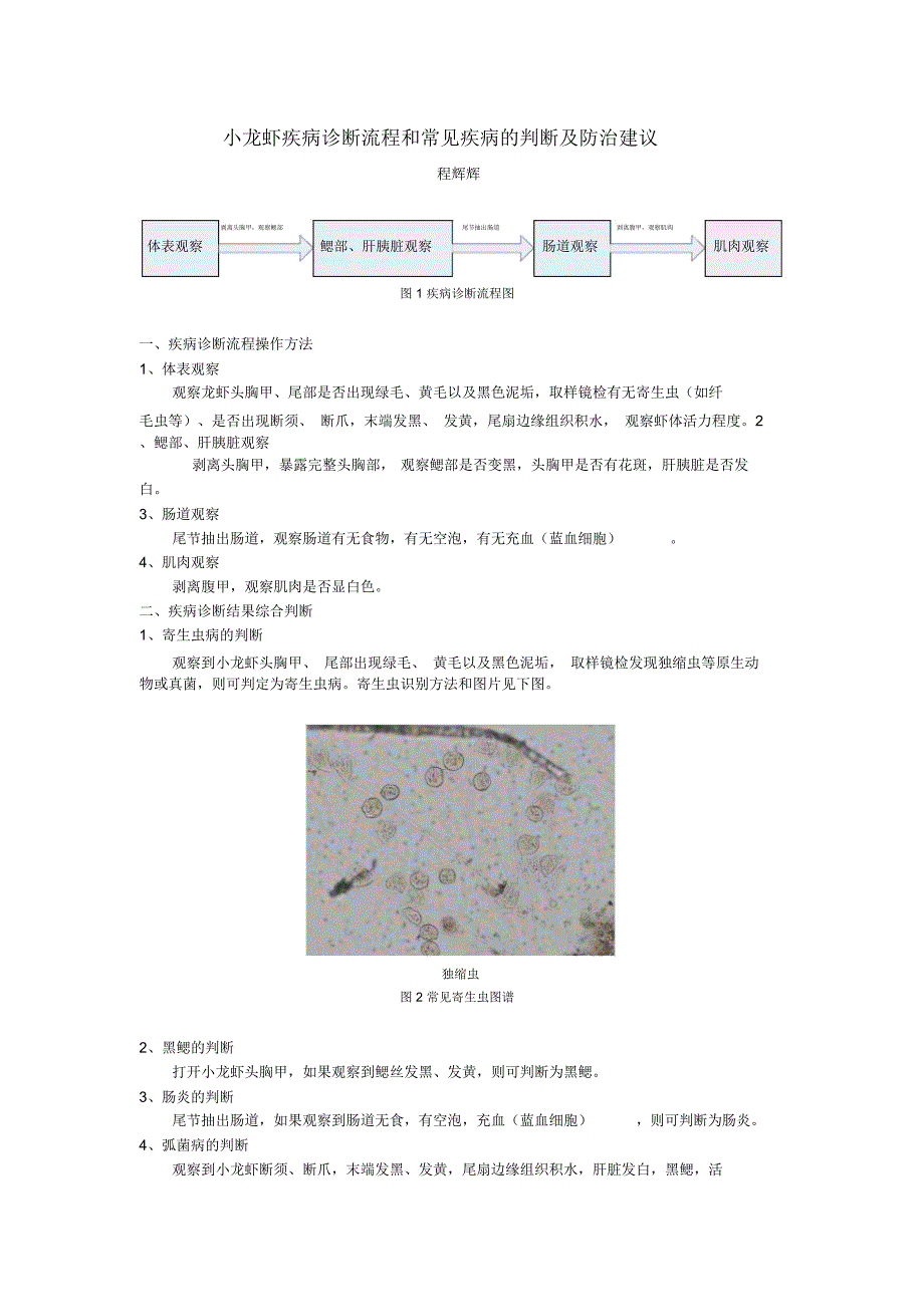 小龙虾疾病诊断流程和常见疾病的判断及防治建议_第1页