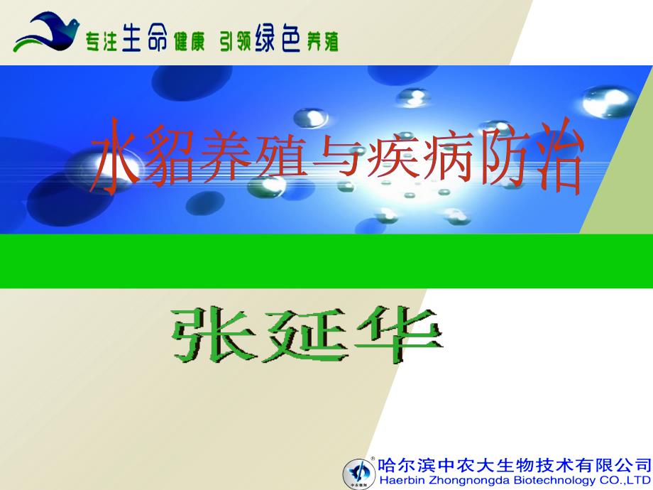 水貂养殖与疾病防治_第1页