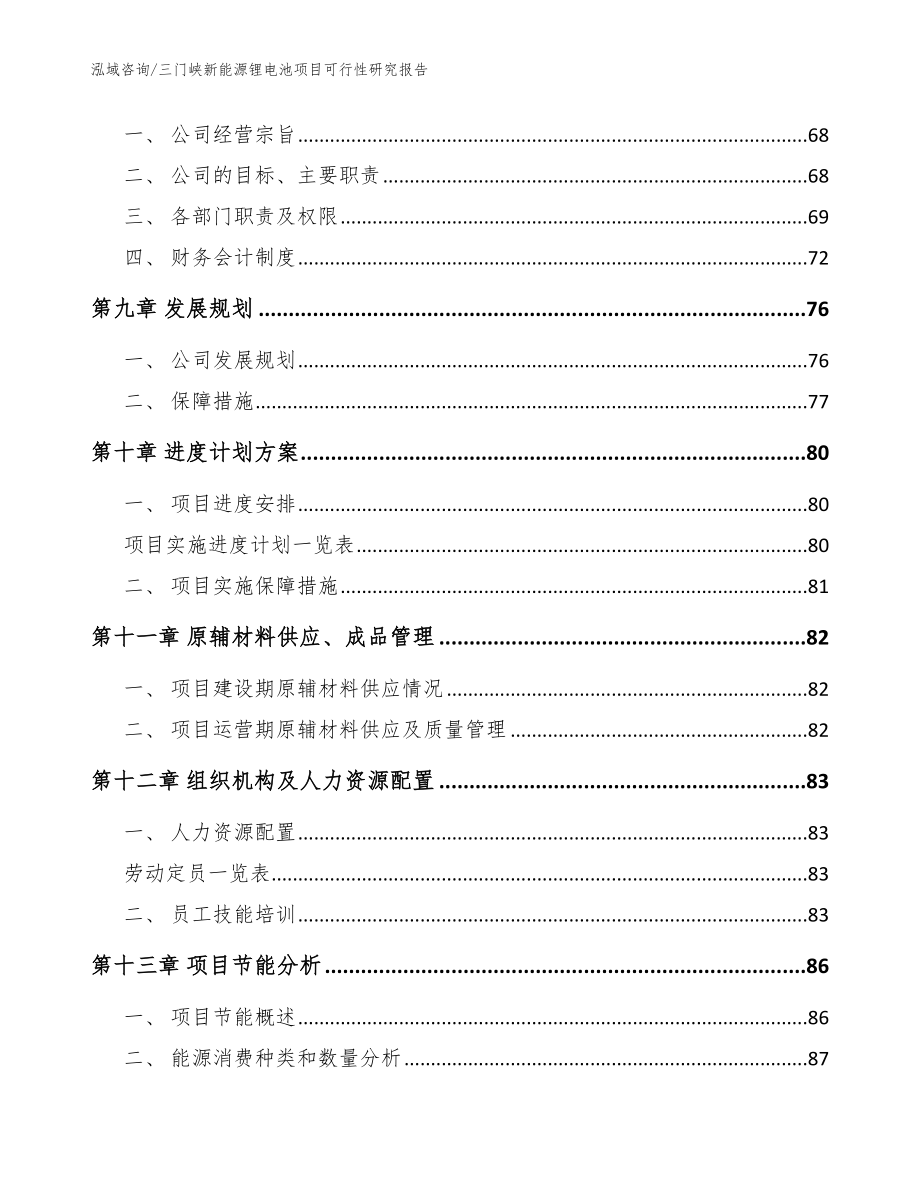 三门峡新能源锂电池项目可行性研究报告（模板范文）_第4页