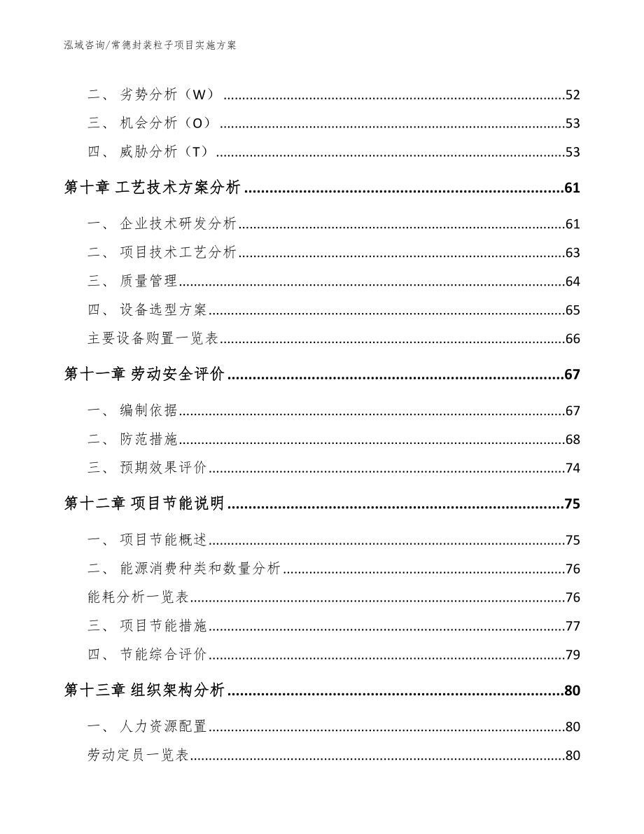 常德封装粒子项目实施方案_第4页