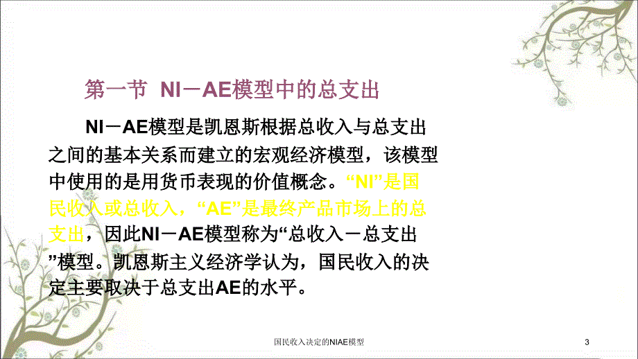 国民收入决定的NIAE模型课件_第3页