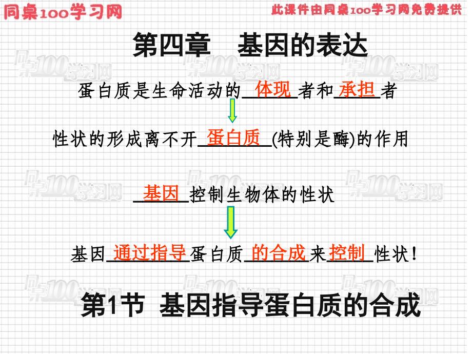 节基因指导蛋白质的合成课件_第2页