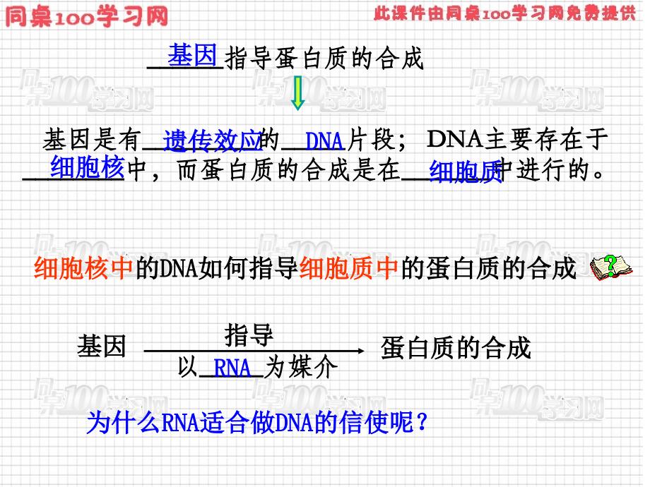 节基因指导蛋白质的合成课件_第3页