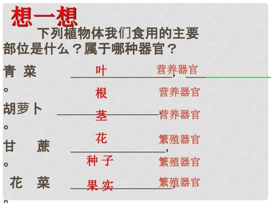 七年级生物上册 1.2.3 多细胞生物体课件 （新版）冀教版_第5页