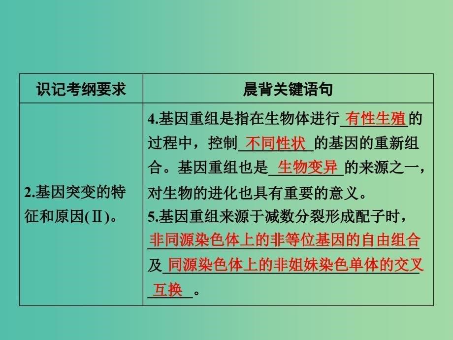 高考生物大一轮复习 第五章 第1节 基因突变和基因重组课件 新人教版必修2.ppt_第5页