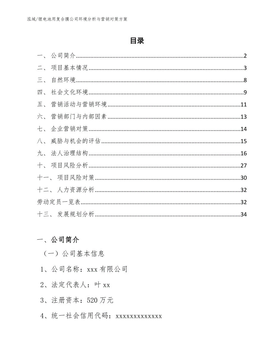 锂电池用复合膜公司环境分析与营销对策方案_第2页